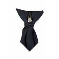 Clip-on tie