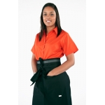 Ladies Short  Sleeve Blouse