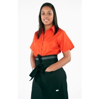 Ladies Short  Sleeve Blouse