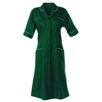 Round Collar Housekeeping Dress