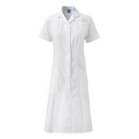 White round collar dress