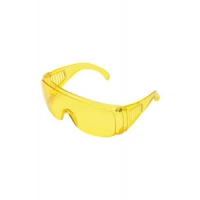 Visitor Safety Spectacle