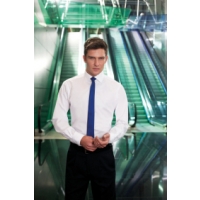 SLIM FIT Alba cotton rich shirt